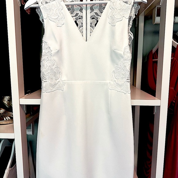 Ellie Tahari White Guipure Lace Back Dress - Picture 6 of 8